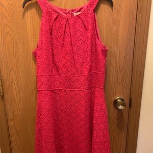 Lace Pink Summer/Sundress New York & Company